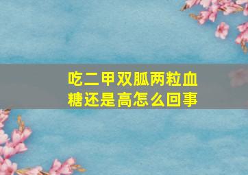 吃二甲双胍两粒血糖还是高怎么回事