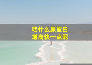 吃什么尿蛋白增高快一点呢