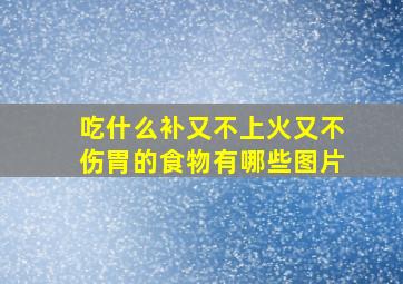 吃什么补又不上火又不伤胃的食物有哪些图片