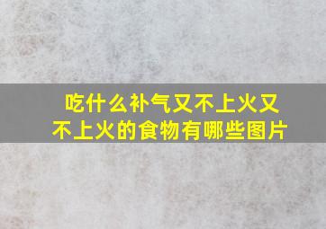 吃什么补气又不上火又不上火的食物有哪些图片