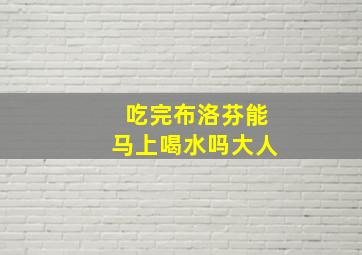 吃完布洛芬能马上喝水吗大人