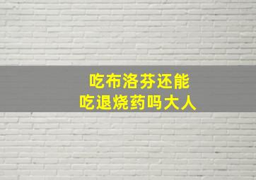 吃布洛芬还能吃退烧药吗大人