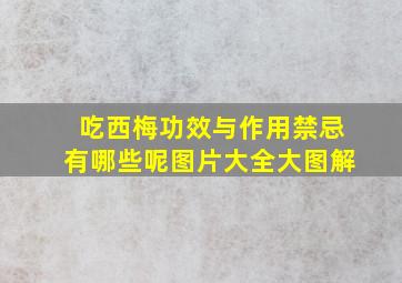 吃西梅功效与作用禁忌有哪些呢图片大全大图解