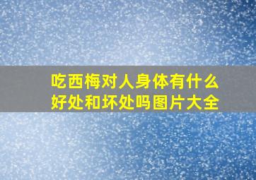 吃西梅对人身体有什么好处和坏处吗图片大全