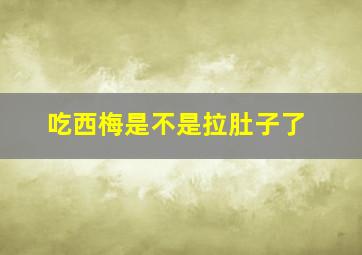 吃西梅是不是拉肚子了