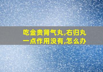 吃金贵肾气丸,右归丸一点作用没有,怎么办