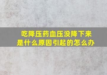 吃降压药血压没降下来是什么原因引起的怎么办