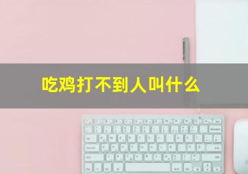 吃鸡打不到人叫什么