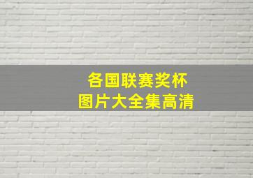 各国联赛奖杯图片大全集高清