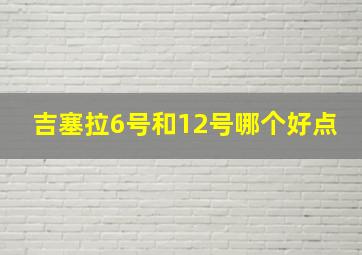 吉塞拉6号和12号哪个好点