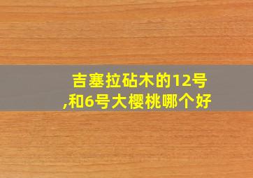 吉塞拉砧木的12号,和6号大樱桃哪个好