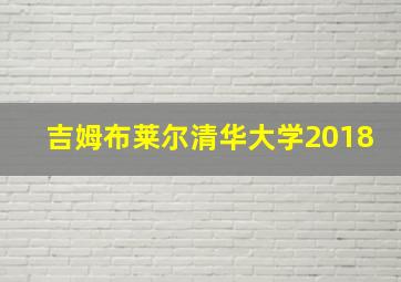 吉姆布莱尔清华大学2018