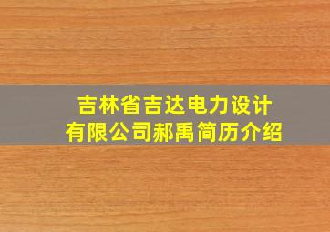 吉林省吉达电力设计有限公司郝禹简历介绍