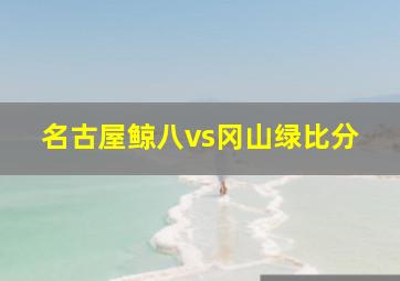 名古屋鲸八vs冈山绿比分