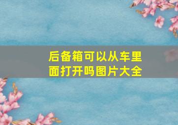 后备箱可以从车里面打开吗图片大全