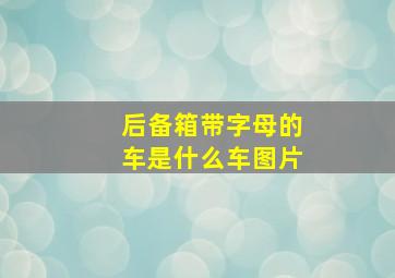 后备箱带字母的车是什么车图片