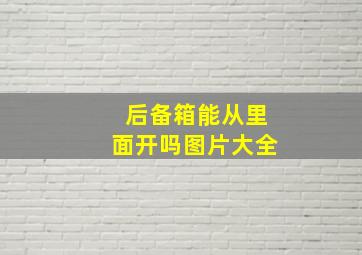 后备箱能从里面开吗图片大全