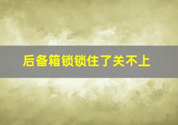 后备箱锁锁住了关不上