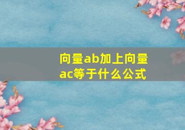 向量ab加上向量ac等于什么公式