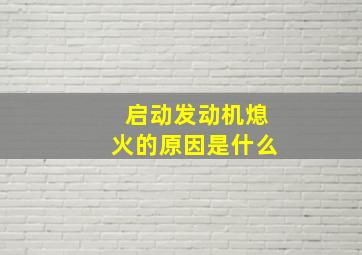 启动发动机熄火的原因是什么