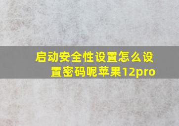 启动安全性设置怎么设置密码呢苹果12pro