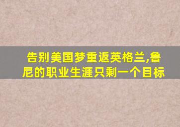 告别美国梦重返英格兰,鲁尼的职业生涯只剩一个目标