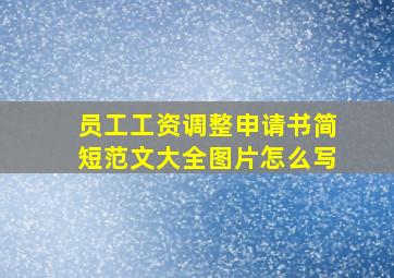 员工工资调整申请书简短范文大全图片怎么写