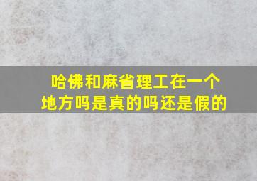 哈佛和麻省理工在一个地方吗是真的吗还是假的