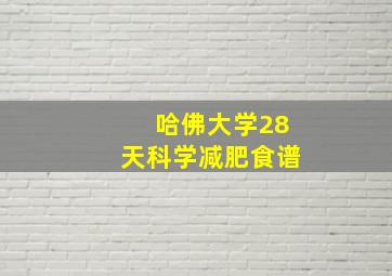 哈佛大学28天科学减肥食谱