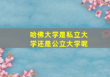 哈佛大学是私立大学还是公立大学呢