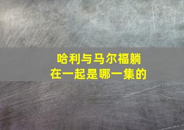 哈利与马尔福躺在一起是哪一集的