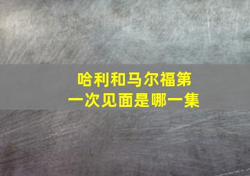 哈利和马尔福第一次见面是哪一集