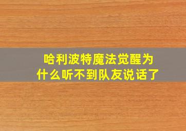 哈利波特魔法觉醒为什么听不到队友说话了