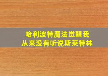 哈利波特魔法觉醒我从来没有听说斯莱特林