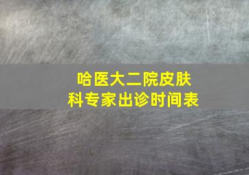 哈医大二院皮肤科专家出诊时间表