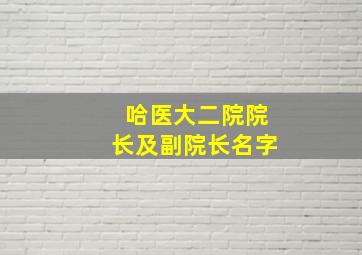 哈医大二院院长及副院长名字