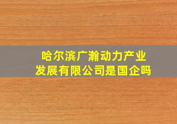 哈尔滨广瀚动力产业发展有限公司是国企吗