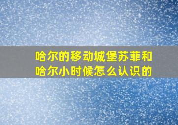 哈尔的移动城堡苏菲和哈尔小时候怎么认识的