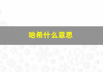 哈希什么意思