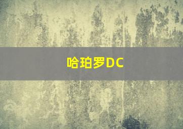 哈珀罗DC