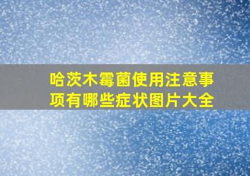 哈茨木霉菌使用注意事项有哪些症状图片大全