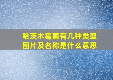 哈茨木霉菌有几种类型图片及名称是什么意思