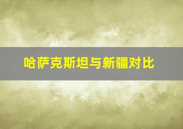 哈萨克斯坦与新疆对比