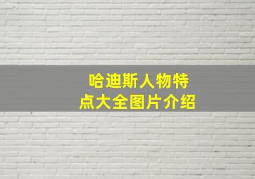 哈迪斯人物特点大全图片介绍