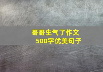 哥哥生气了作文500字优美句子