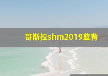 哥斯拉shm2019蓝背