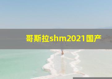 哥斯拉shm2021国产