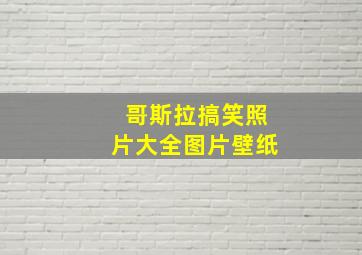 哥斯拉搞笑照片大全图片壁纸