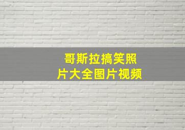 哥斯拉搞笑照片大全图片视频