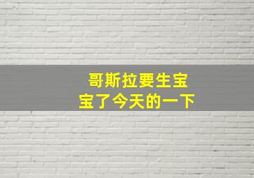 哥斯拉要生宝宝了今天的一下